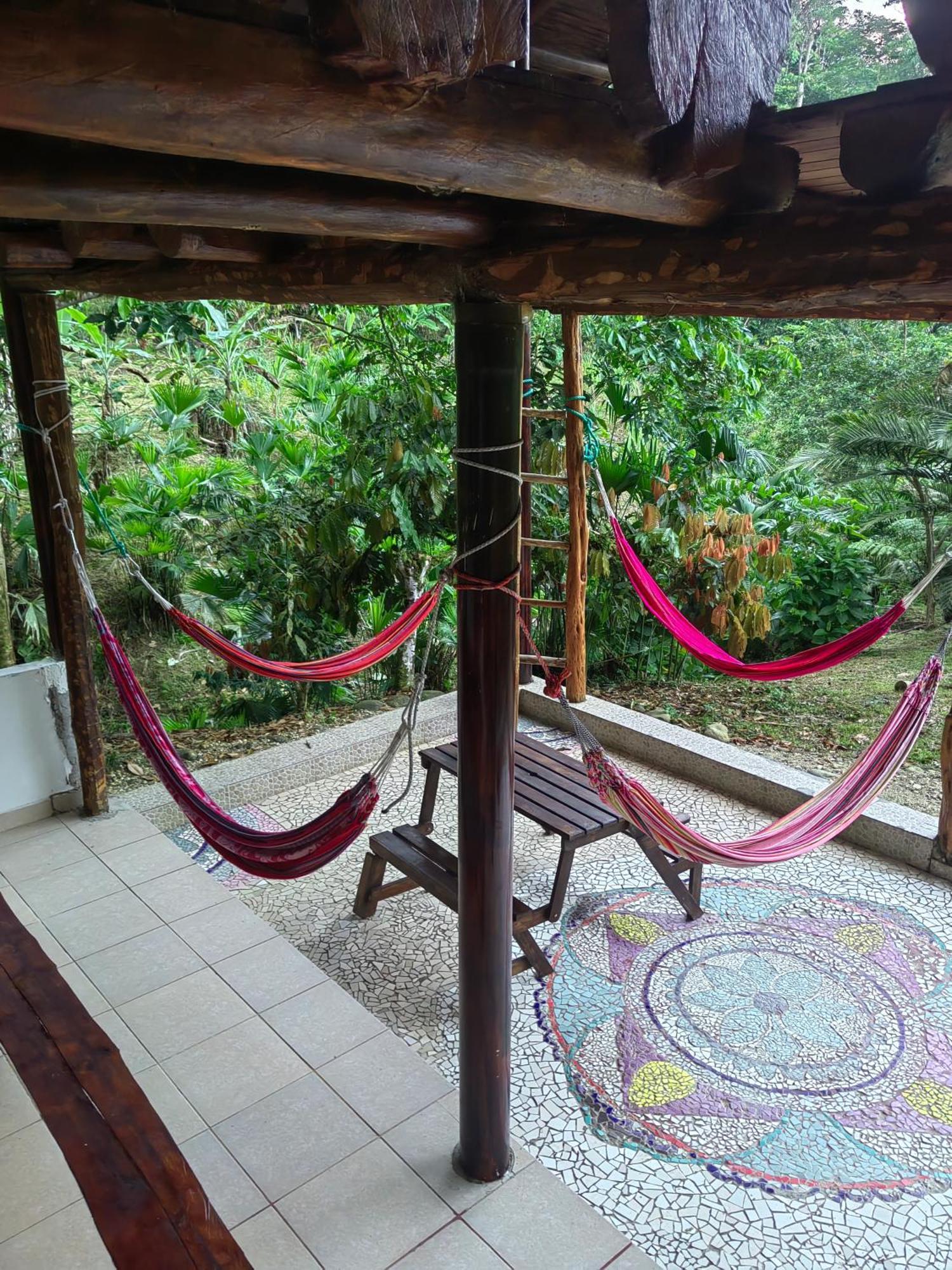 Wisdom Forest Lodge 特纳 外观 照片